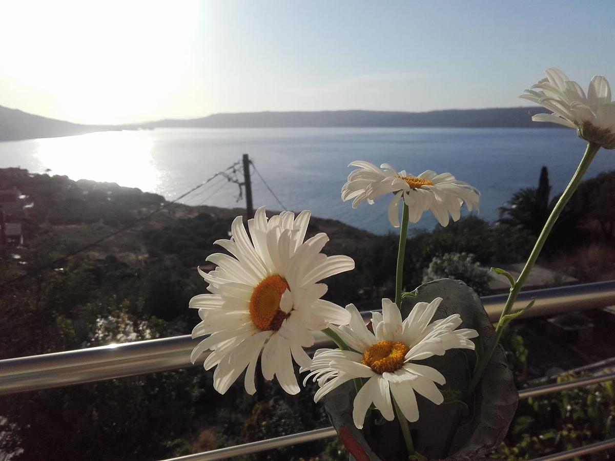 Olympic View Guesthouse Kalami  Экстерьер фото